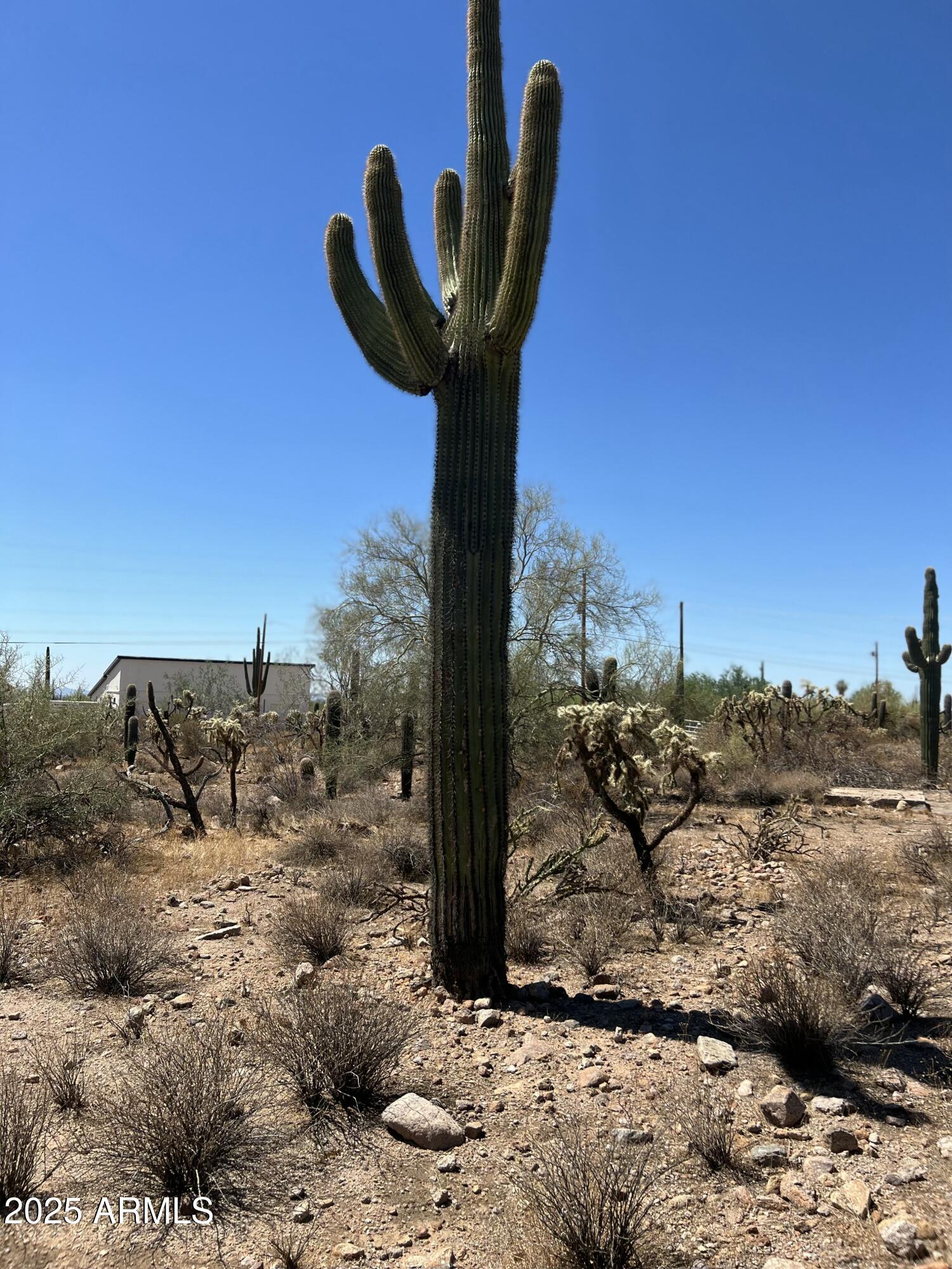 2800 West Canyon Street, Unit 47 Apache Junction, AZ 85120 - Photo 24 of 25 a view of a terrace