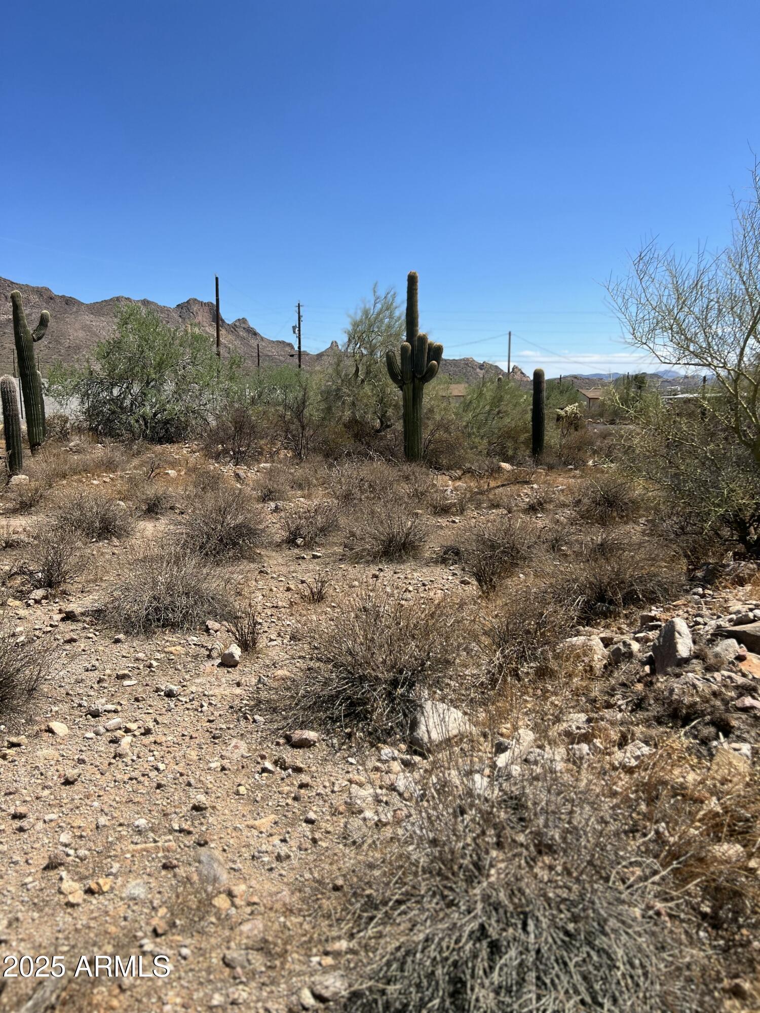 2800 West Canyon Street, Unit 47 Apache Junction, AZ 85120 - Photo 25 of 25 a view of a dry field with trees in background