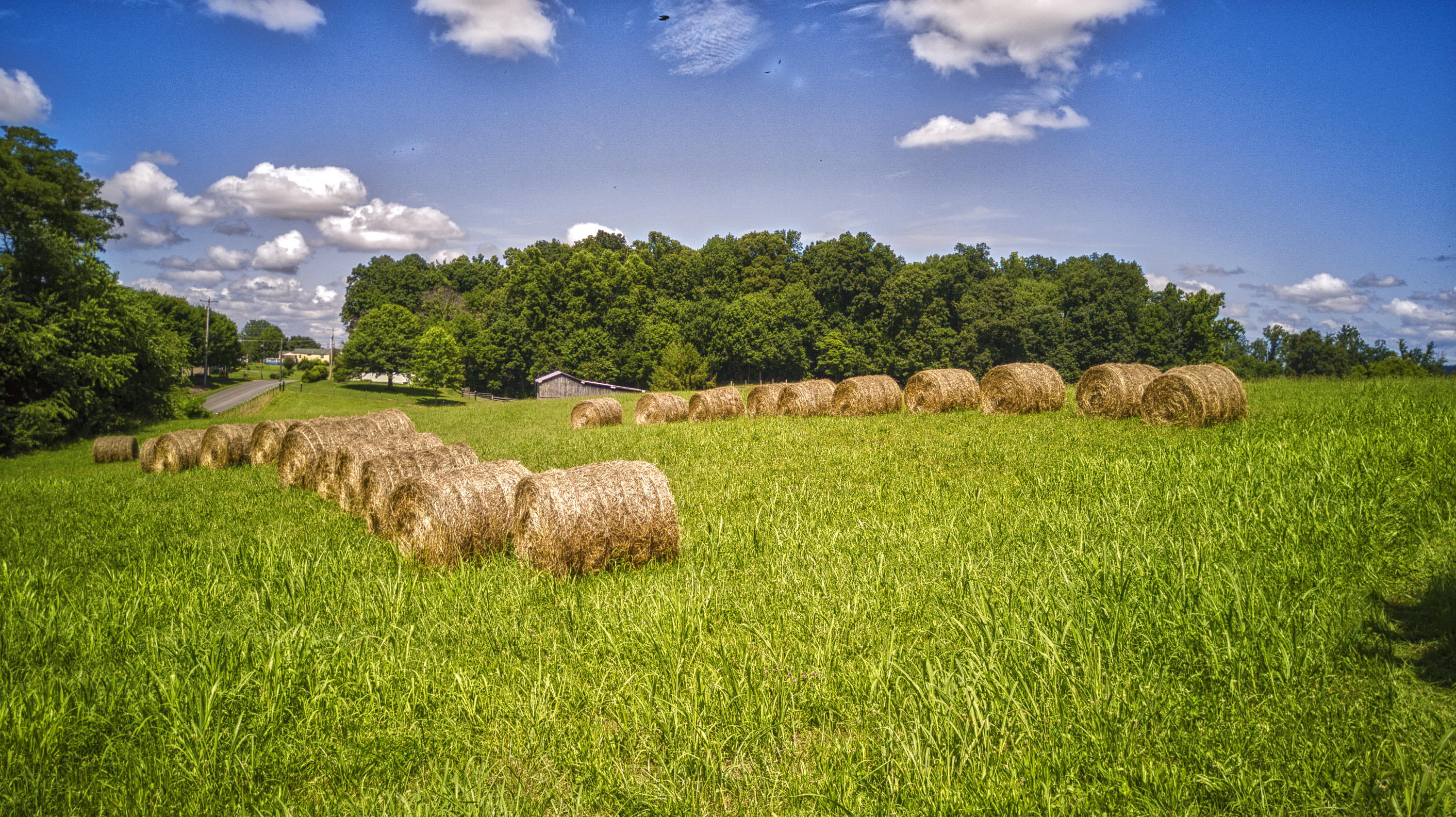 120 Miller Road Jonesborough, TN 37659 - Photo 49 of 55 DJI_0223_MLS