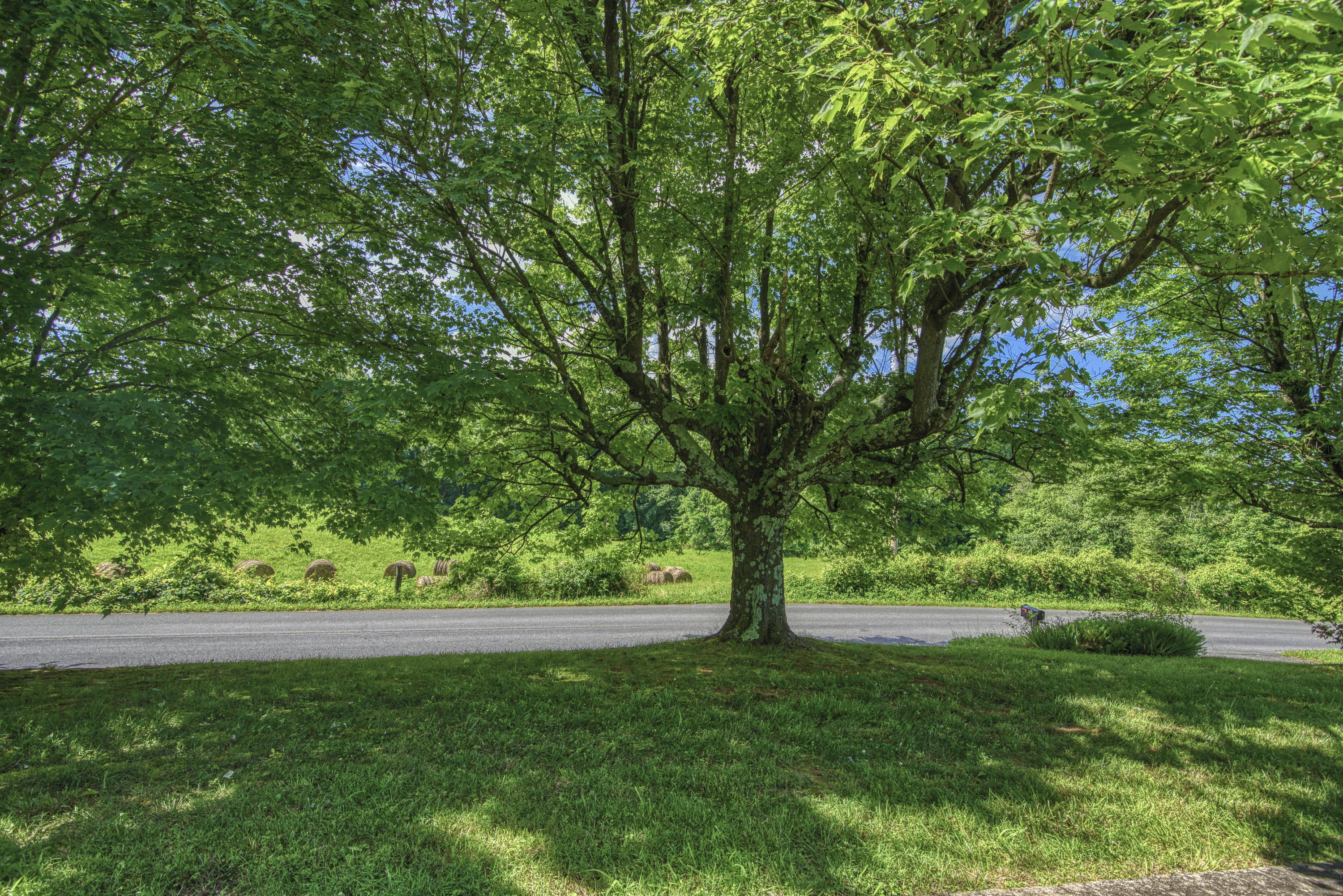120 Miller Road Jonesborough, TN 37659 - Photo 50 of 55 DSC_3621_MLS