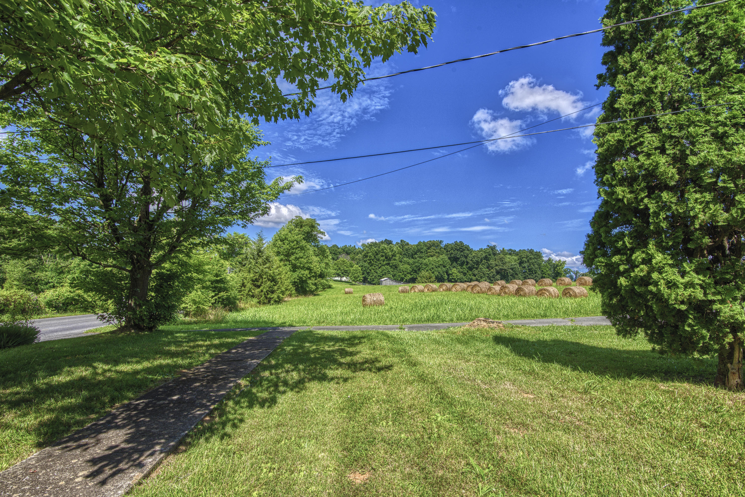 120 Miller Road Jonesborough, TN 37659 - Photo 51 of 55 DSC_3624_MLS