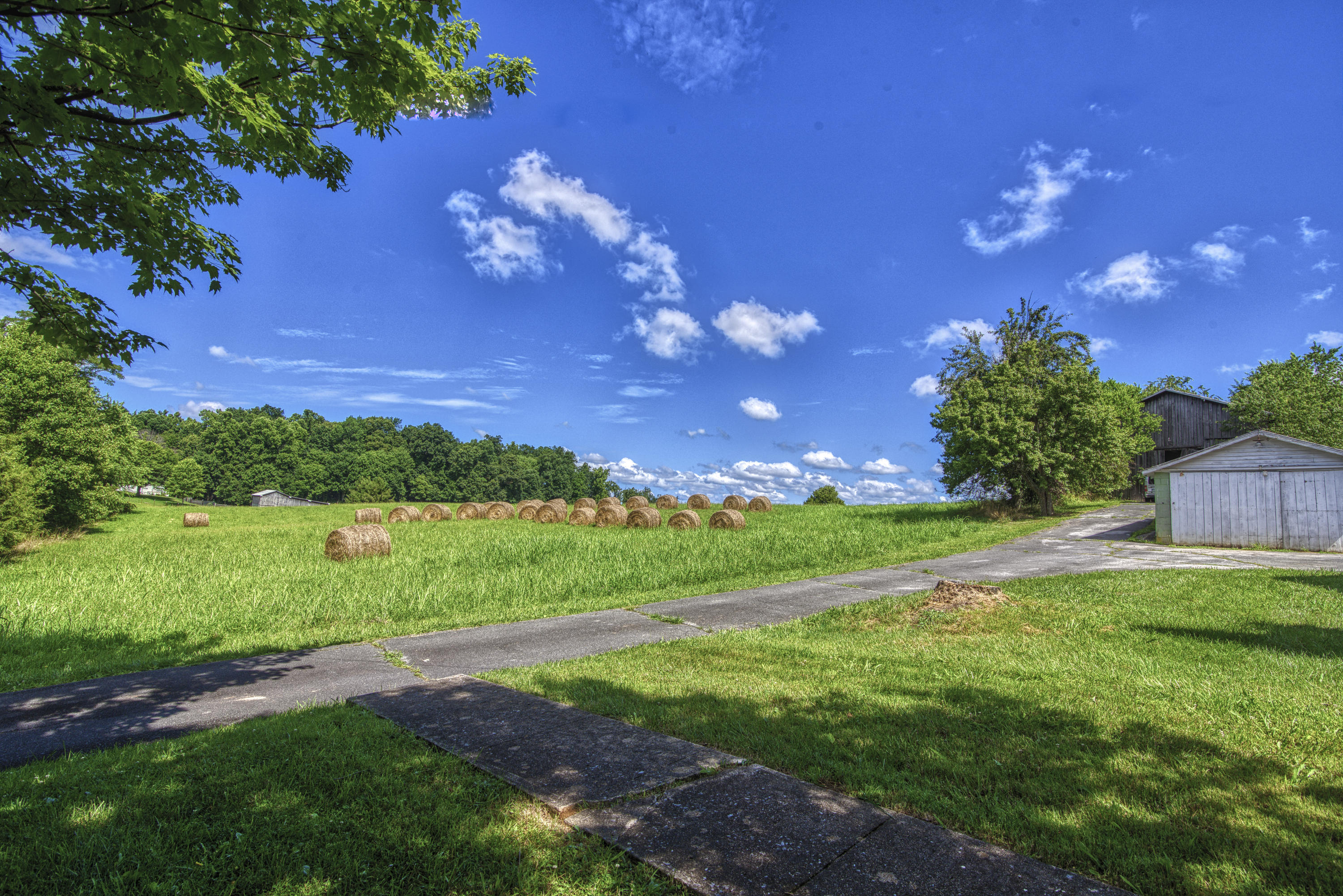 120 Miller Road Jonesborough, TN 37659 - Photo 52 of 55 DSC_3627_MLS