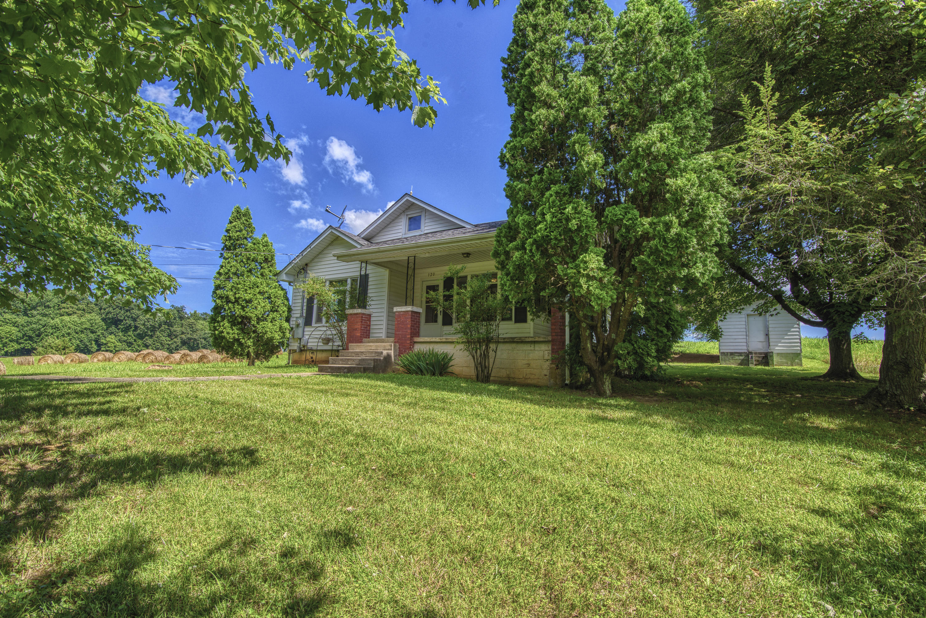 120 Miller Road Jonesborough, TN 37659 - Photo 53 of 55 DSC_3639_MLS