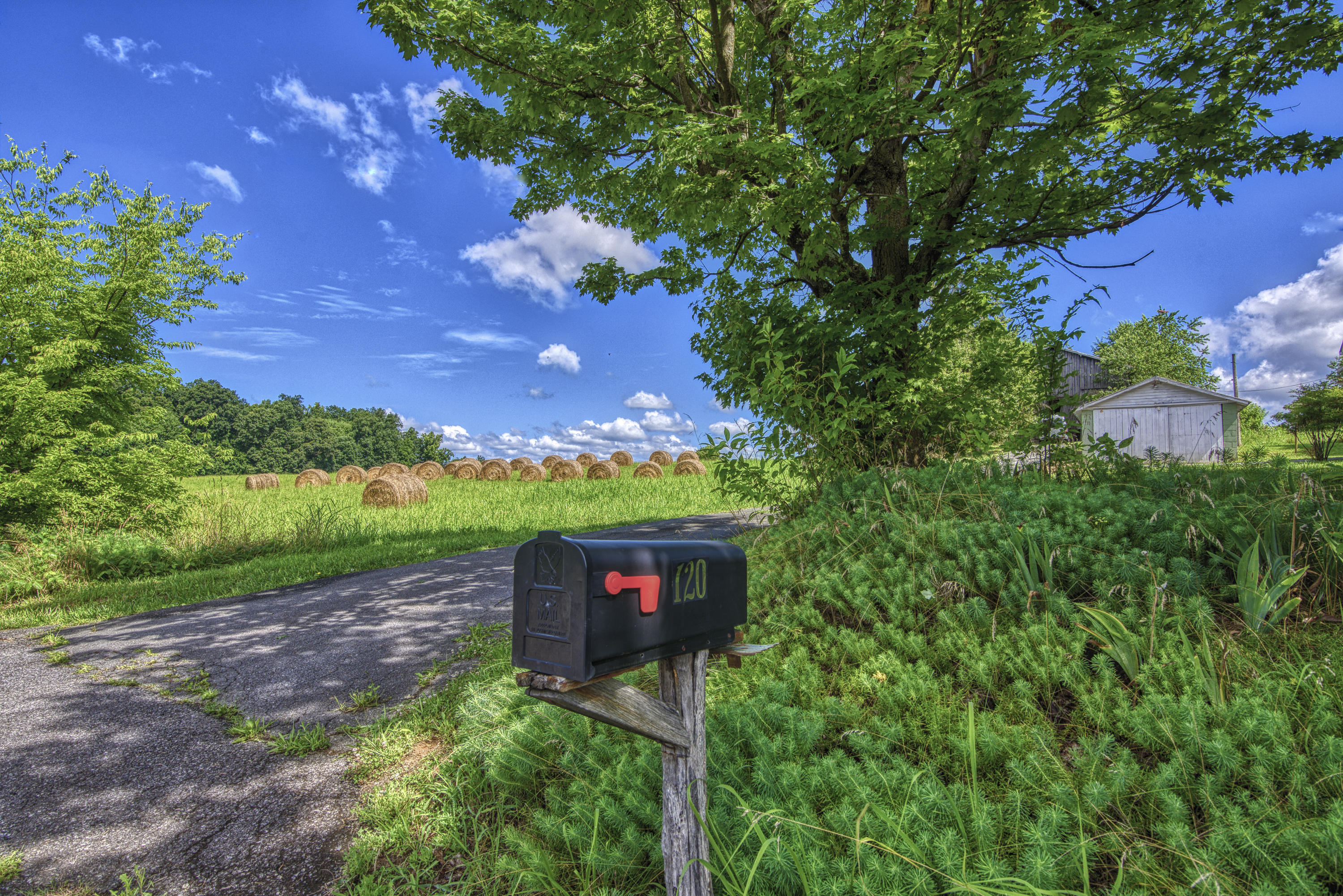 120 Miller Road Jonesborough, TN 37659 - Photo 55 of 55 DSC_3645_MLS
