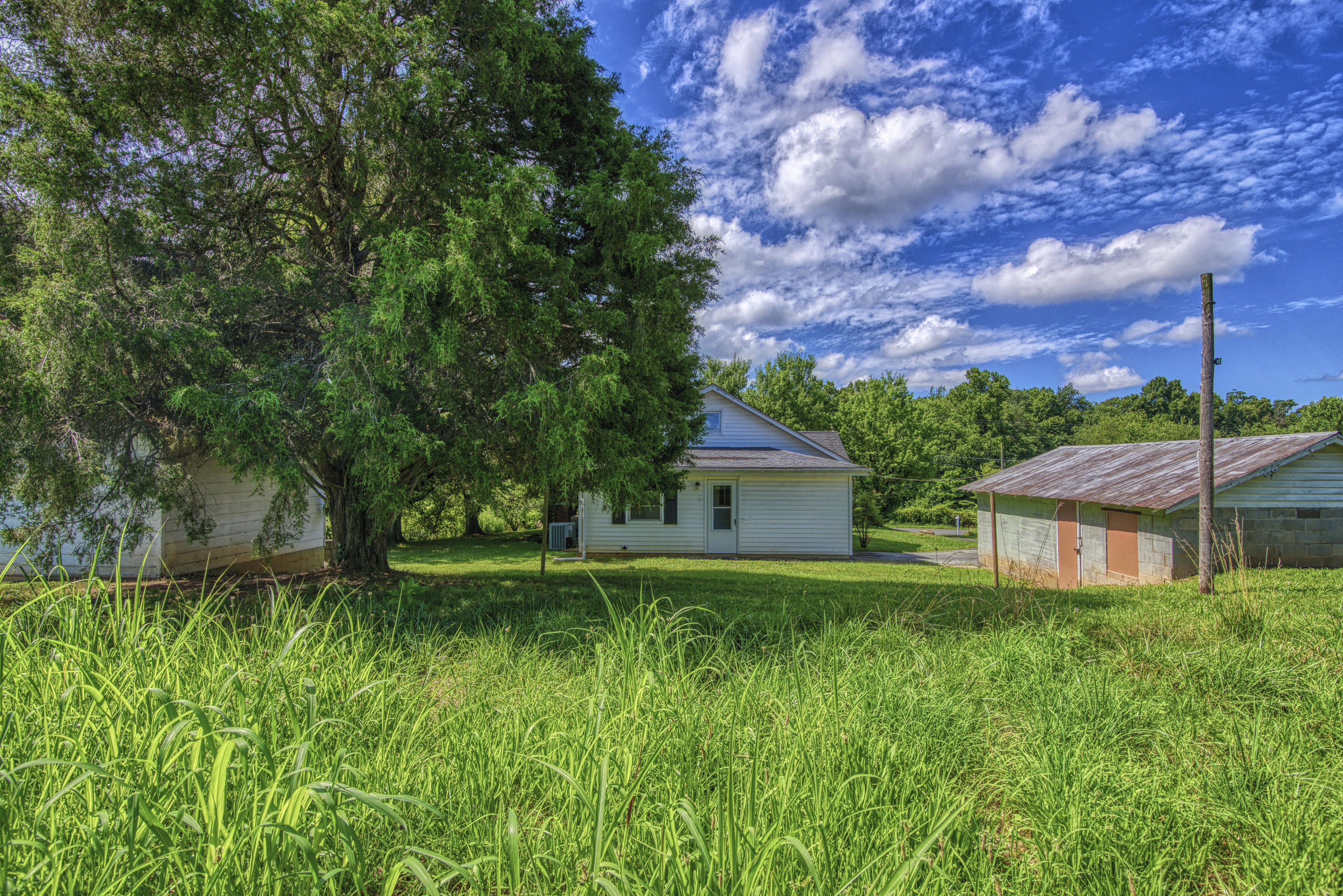 120 Miller Road Jonesborough, TN 37659 - Photo 8 of 55 DSC_3669_MLS