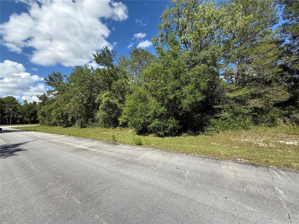 Southwest 88th Avenue Ocala, FL 34473 - Photo 2 of 5