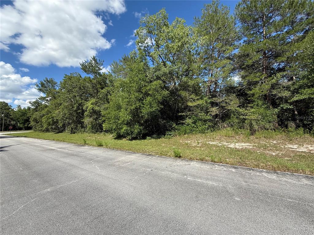 Southwest 88th Avenue Ocala, FL 34473 - Photo 4 of 5