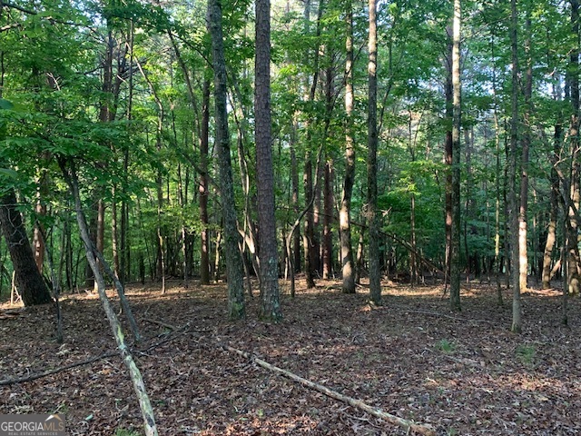 0 Harold Whelchel Road Gainesville, GA 30506 - Photo 15 of 30 a view of outdoor space with lots of trees