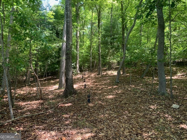 0 Harold Whelchel Road Gainesville, GA 30506 - Photo 20 of 30 a view of a forest with trees