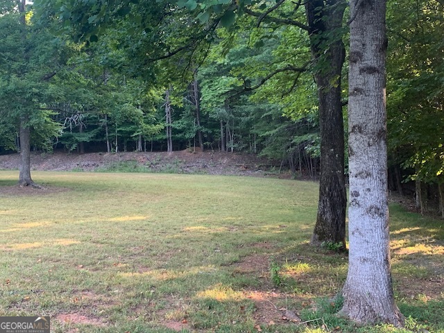 0 Harold Whelchel Road Gainesville, GA 30506 - Photo 23 of 30 a view of a yard with a tree