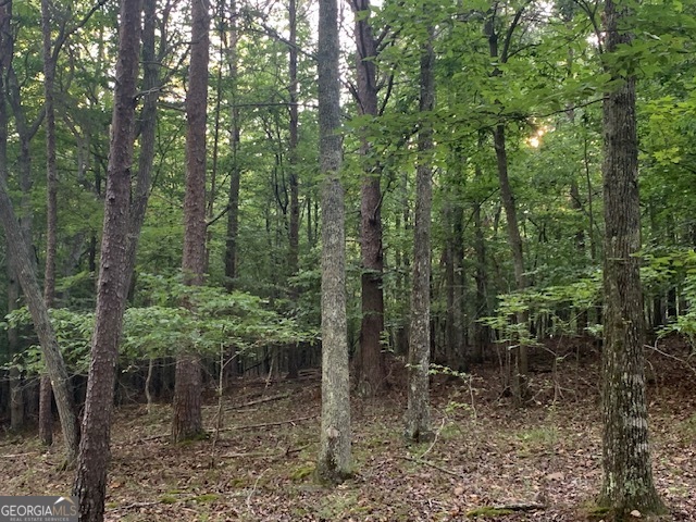 0 Harold Whelchel Road Gainesville, GA 30506 - Photo 24 of 30 a view of a forest with trees