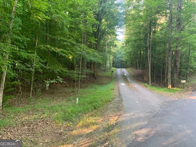 0 Harold Whelchel Road Gainesville, GA 30506 - Photo 28 of 30 a view of a backyard