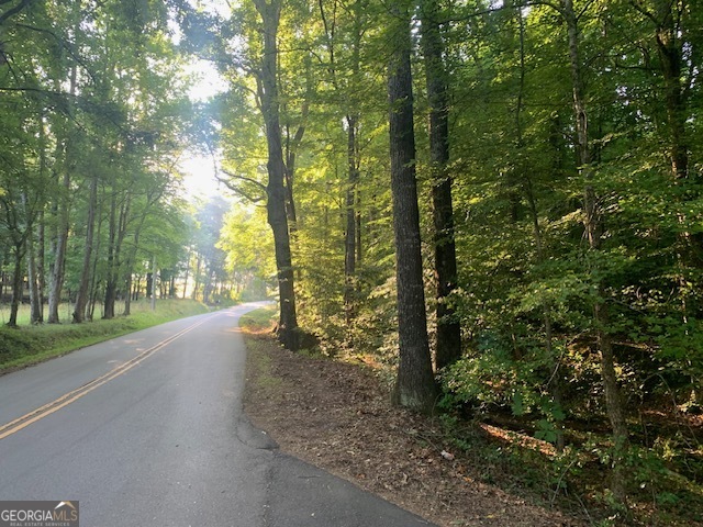 0 Harold Whelchel Road Gainesville, GA 30506 - Photo 3 of 30 a view of a road with plants and trees