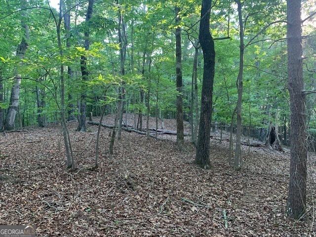 0 Harold Whelchel Road Gainesville, GA 30506 - Photo 4 of 30 a view of a forest filled with trees and a forest
