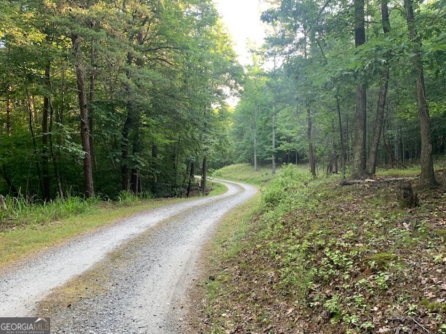 0 Harold Whelchel Road Gainesville, GA 30506 - Photo 7 of 30 a view of outdoor space and yard