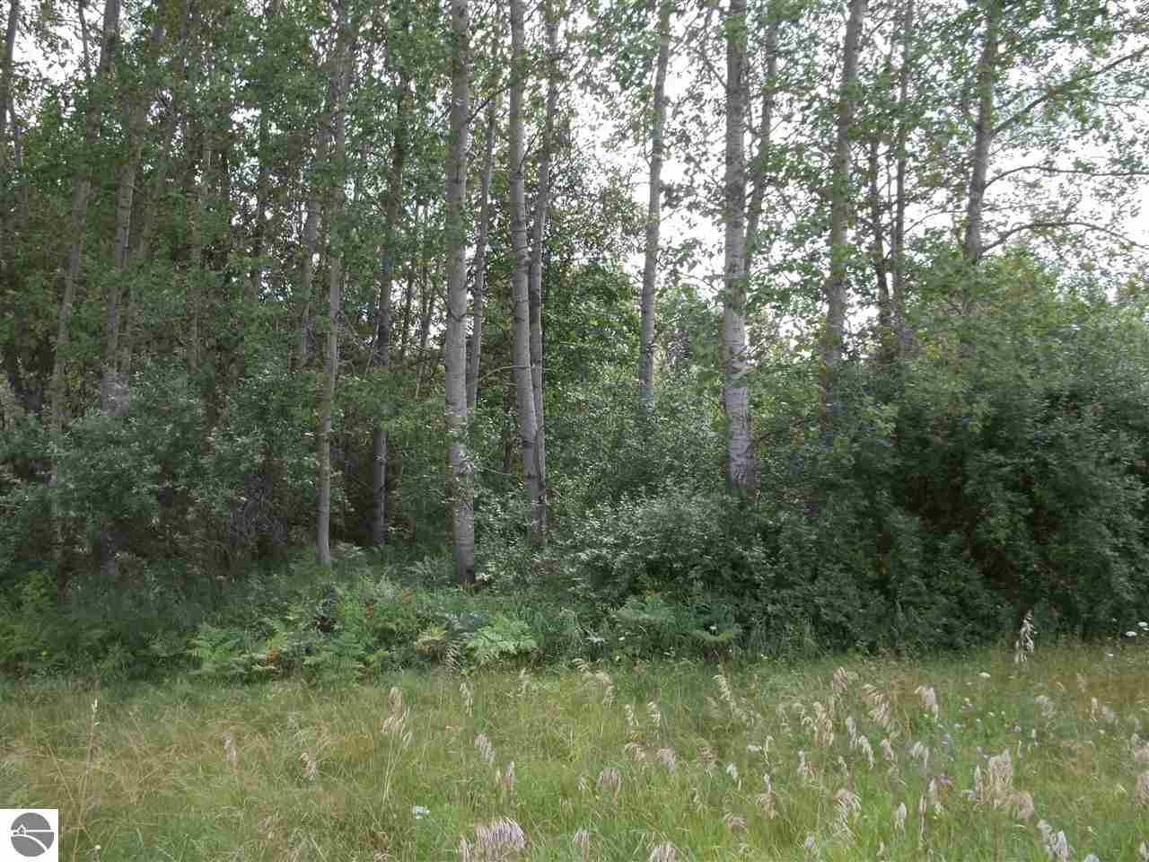0 Channel Drive Lupton, MI 48635 - Photo 1 of 5 1778703.JPG