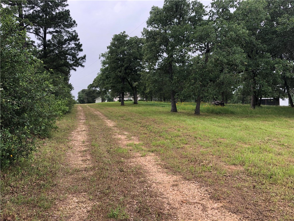 5224 Sandy Fork Road Harwood, TX 78632 - Photo 1 of 1 Gallery Image 1
