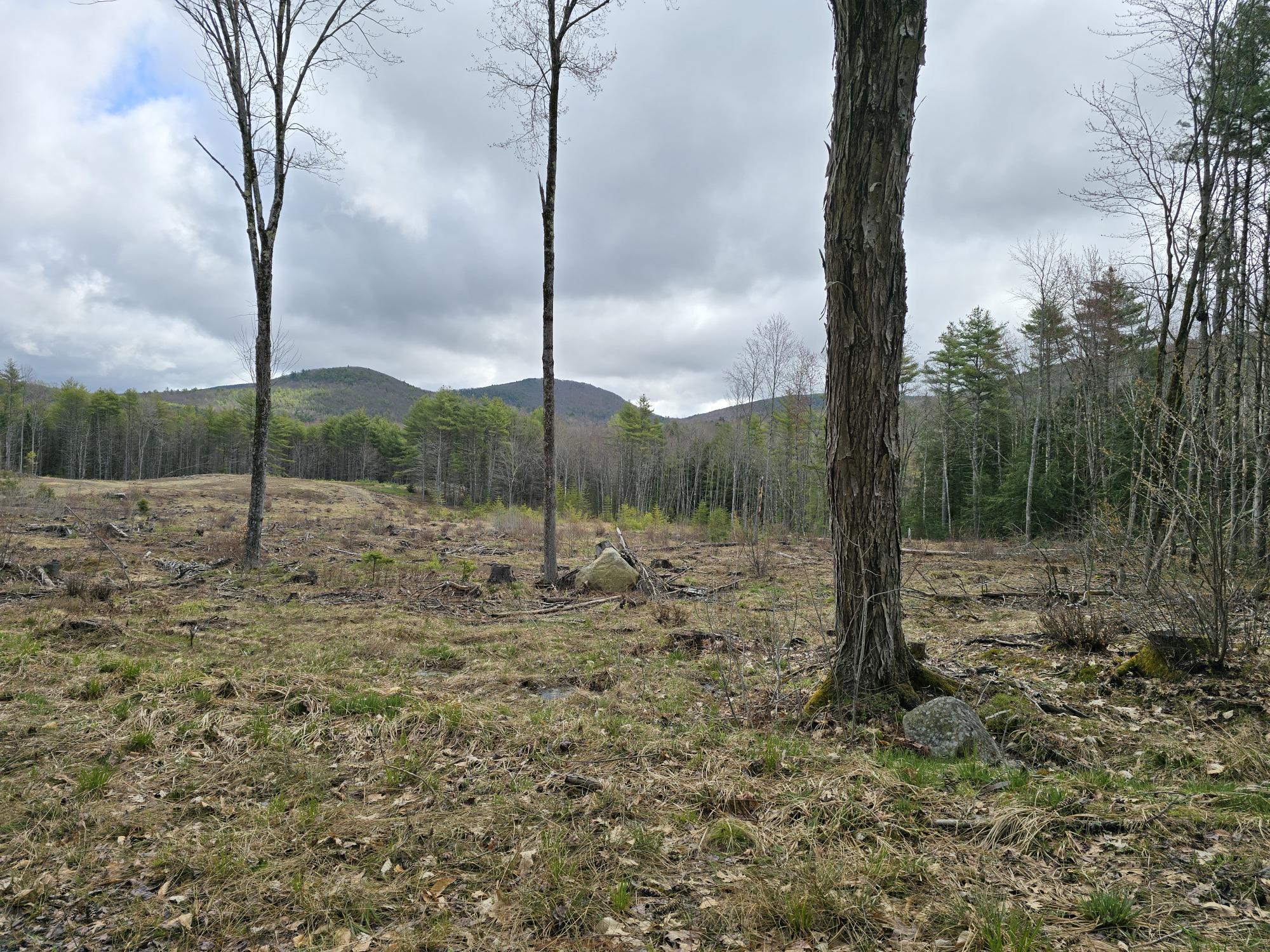 100 Dugway Road Brownfield, ME 04010 - Photo 2 of 4 20240503_100056