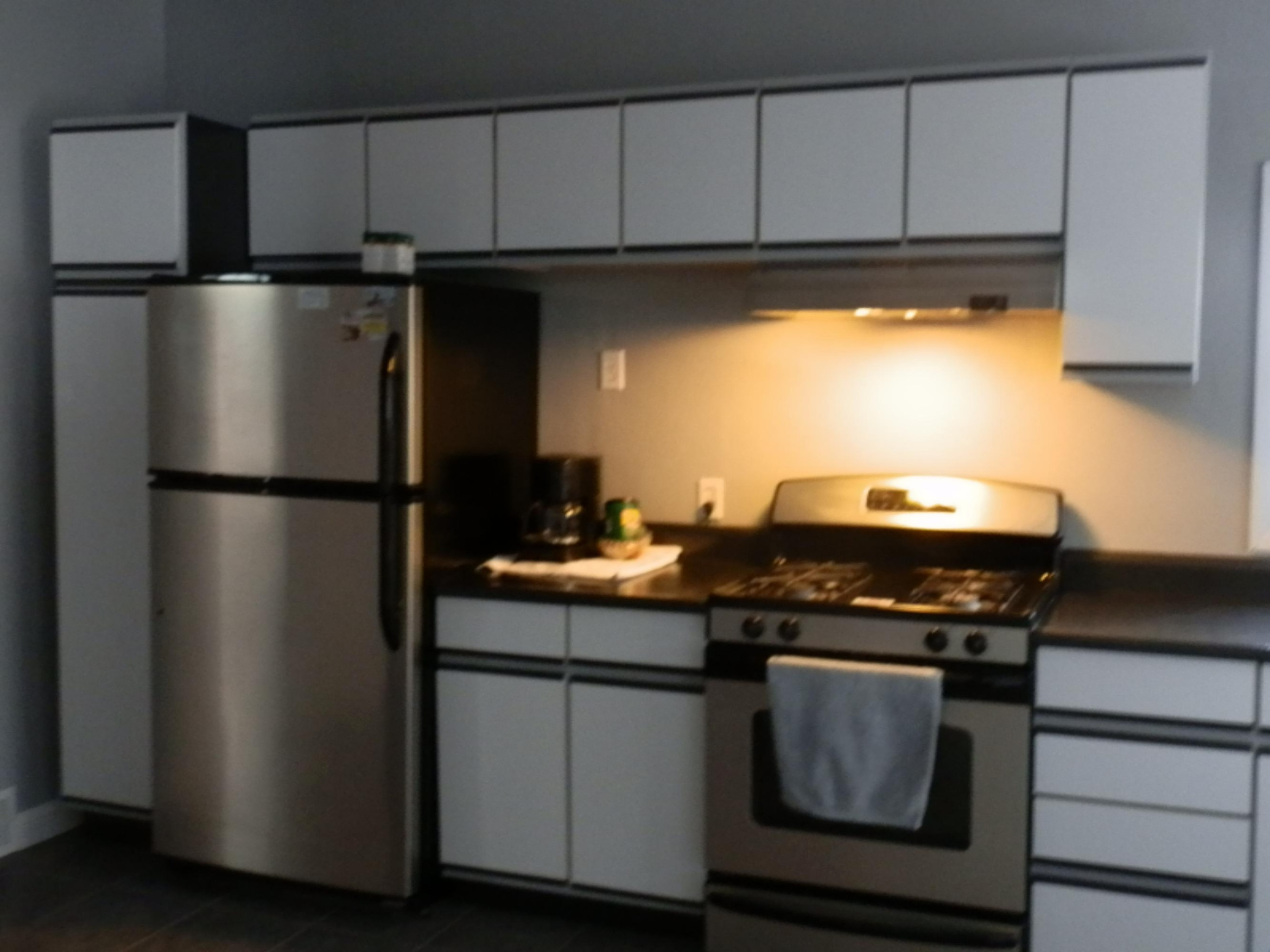 713 Marshall Street Allegan, MI 49010 - Photo 8 of 12 P1010135