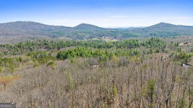 a view of a lush green forest with mountains in the background