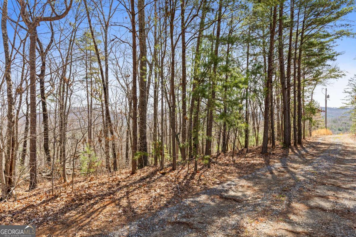 40 B Synacia Road Mineral Bluff, GA 30559 - Photo 11 of 17 a view of backyard with green space
