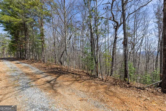 a view of outdoor space and yard