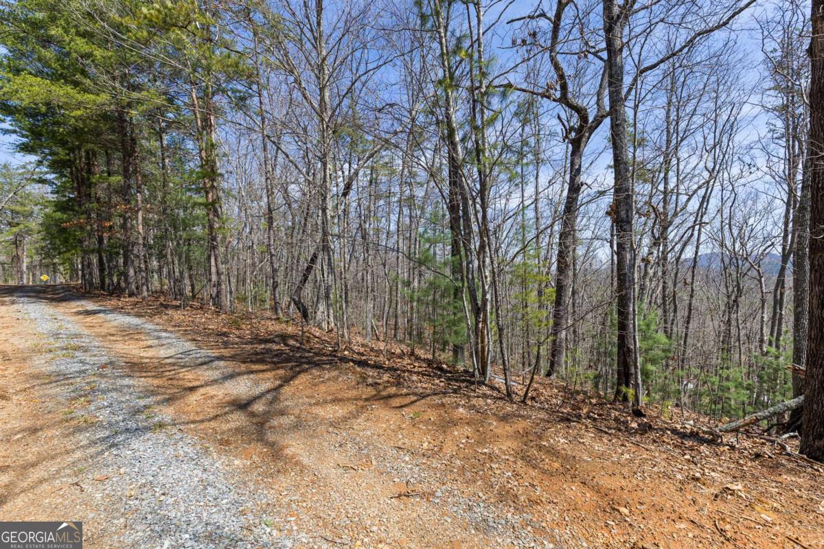 40 B Synacia Road Mineral Bluff, GA 30559 - Photo 14 of 17 a view of a backyard with large trees