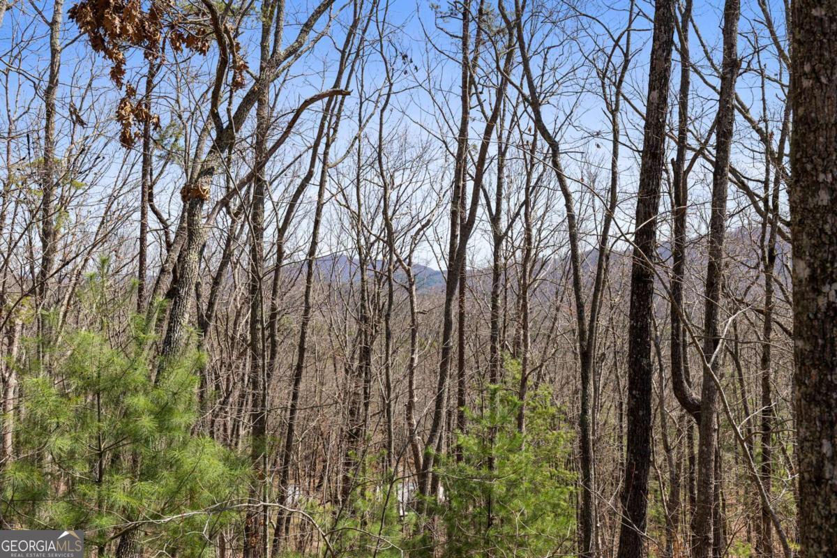 40 B Synacia Road Mineral Bluff, GA 30559 - Photo 15 of 17