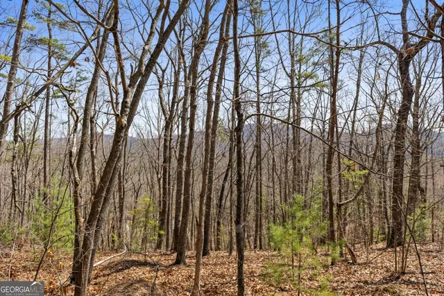 $99,900 | 40 B Synacia Road, Mineral Bluff, GA 30559