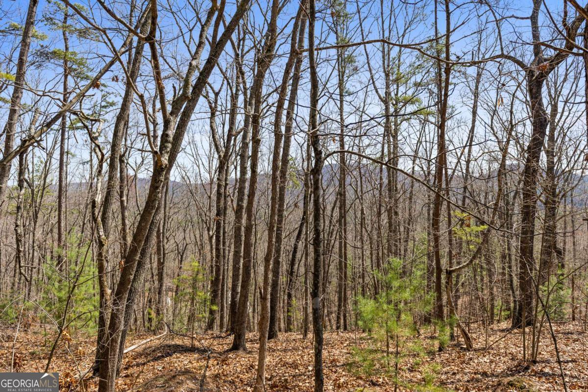 40 B Synacia Road Mineral Bluff, GA 30559 - Photo 16 of 17 a view of outdoor space and yard