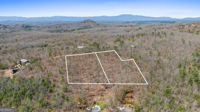 a view of a mountain from a yard