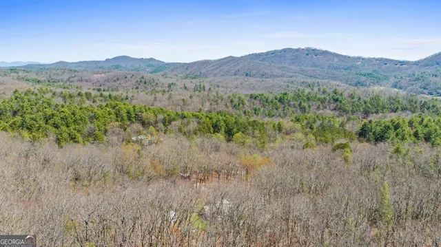 a view of a forest with mountains in the background