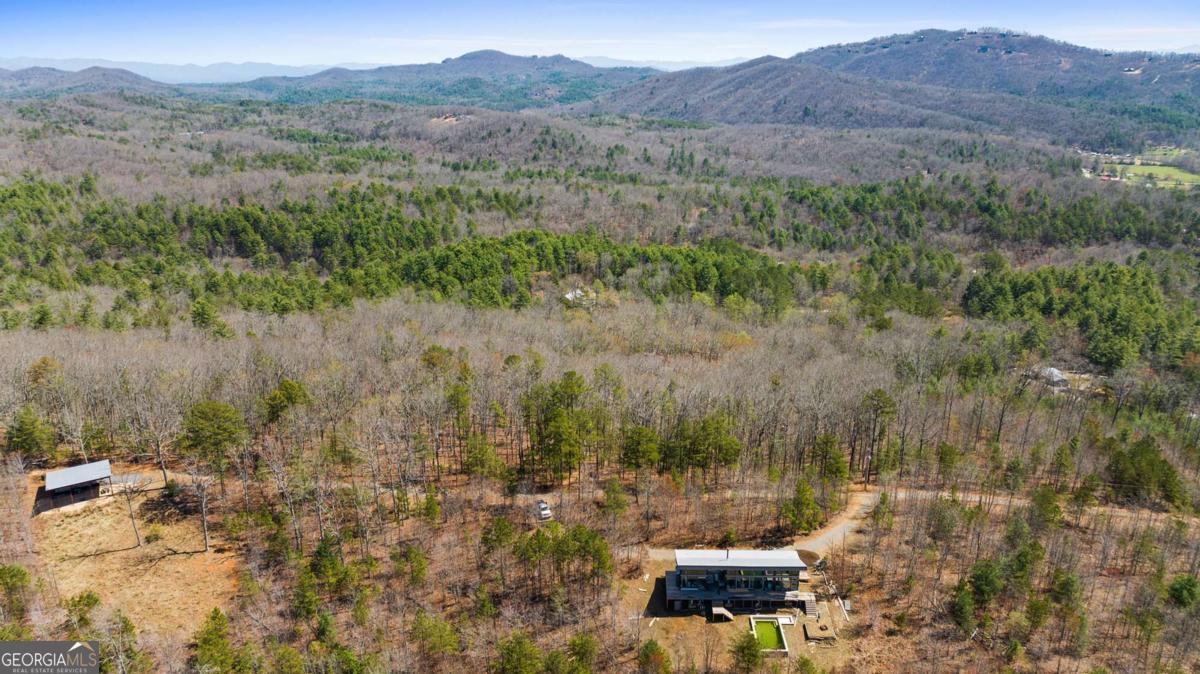 40 B Synacia Road Mineral Bluff, GA 30559 - Photo 5 of 17 a view of a lush green forest with trees in front of it