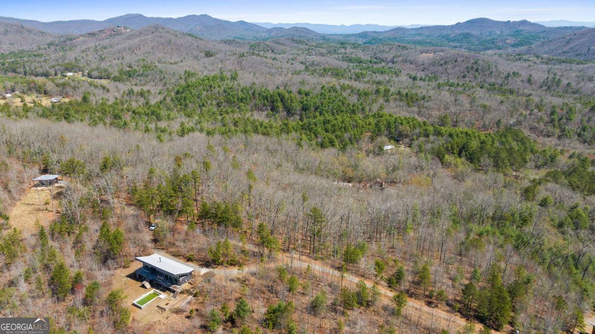 40 B Synacia Road Mineral Bluff, GA 30559 - Photo 6 of 17 a view of a forest with lush green forest
