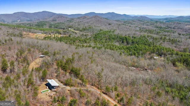 a view of mountains in middle of forest