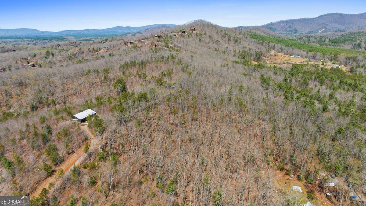 40 B Synacia Road Mineral Bluff, GA 30559 - Photo 9 of 17 a view of a forest with mountains in the background