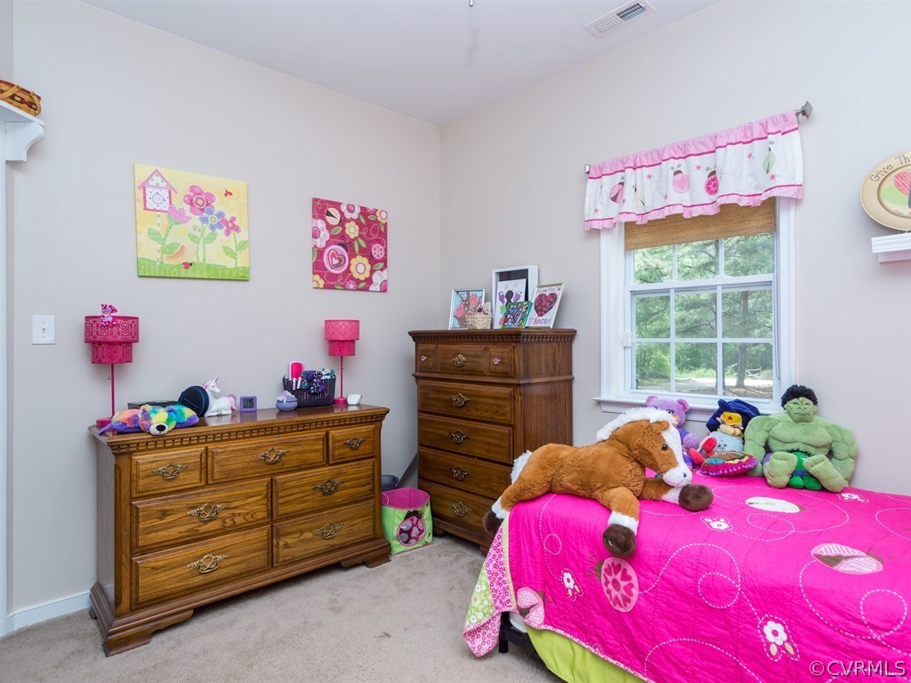 8422 Holdsworth Road Disputanta, VA 23842 - Photo 24 of 28 Gallery Image 24