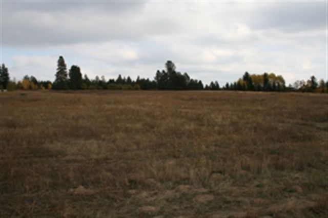 Xx South Colville Road Deer Park, WA 99006 - Photo 3 of 6 Gallery Image 3