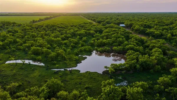 $5,999,999 | 10000 Fm 209, Graham, TX 76450
