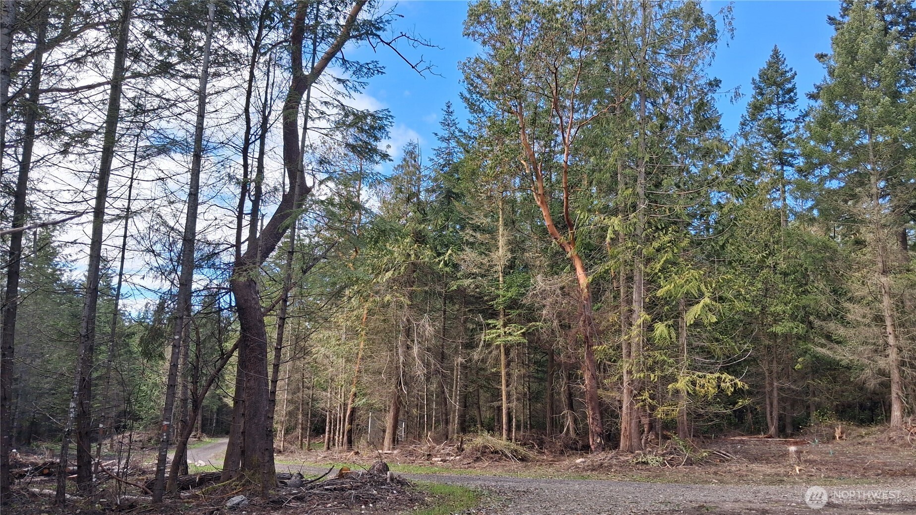 4216 East Sequim Bay Road Sequim, WA 98382 - Photo 9 of 14