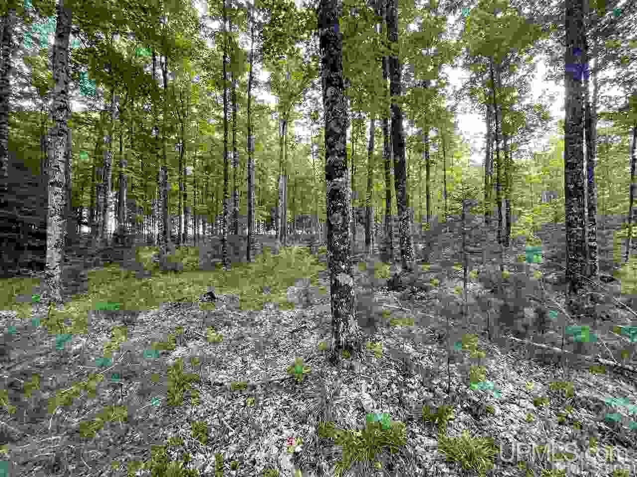 Tbd Sand Road, Unit 2 Powers, MI 49874 - Photo 26 of 38