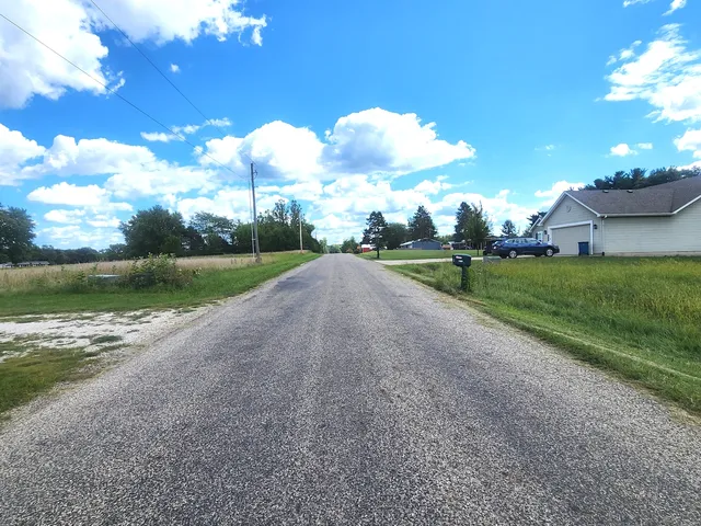 a view of a park with large trees
