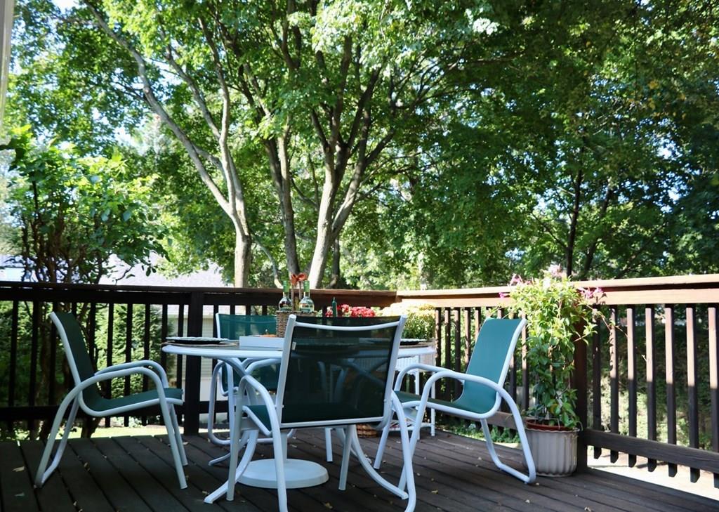 19 Albamont Road Winchester, MA 01890 - Photo 22 of 24 Gallery Image 22