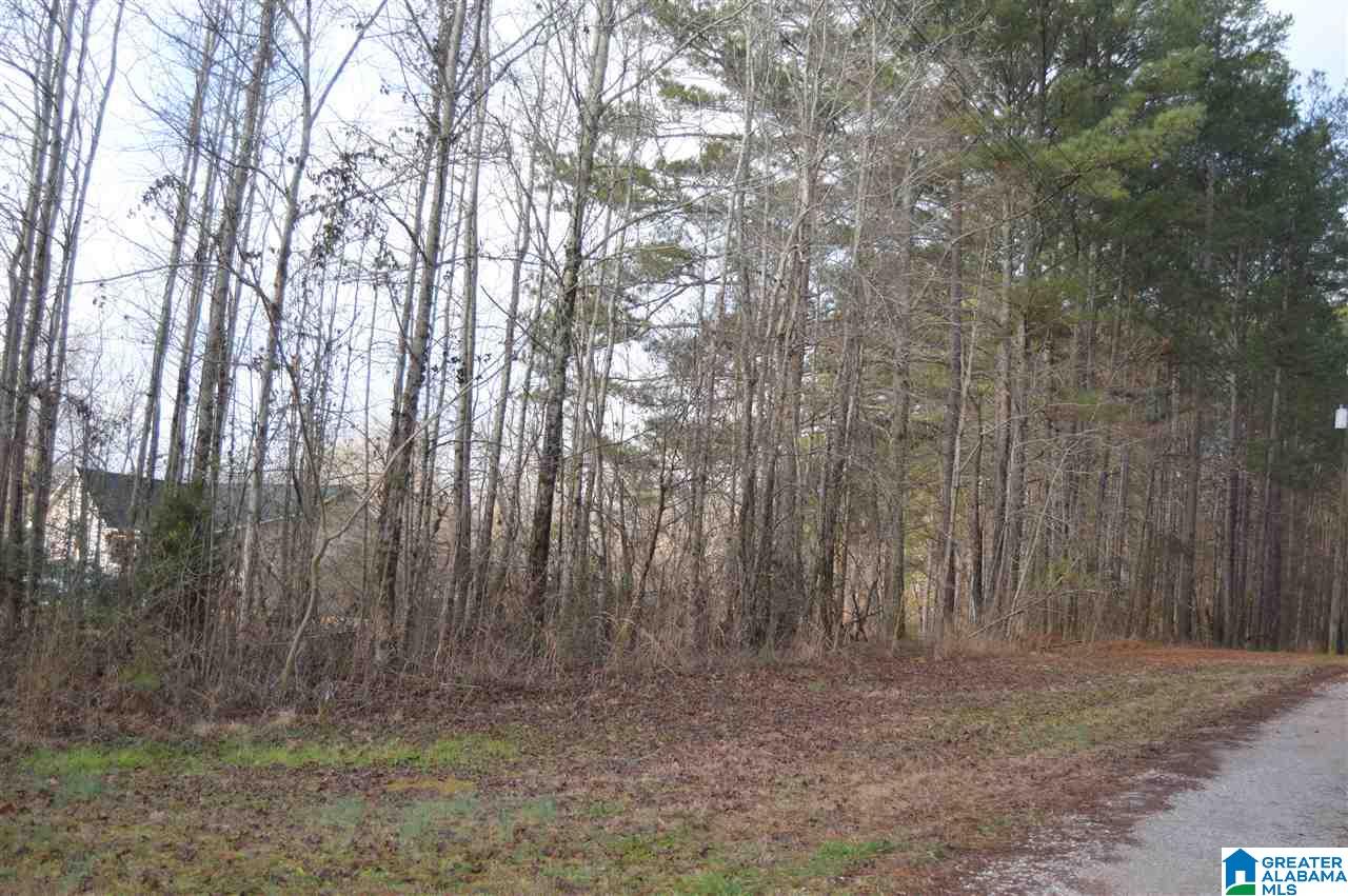 9776 Mcpherson Road, Unit 5 1 ACRES Warrior, AL 35180 - Photo 2 of 16 Gallery Image 2