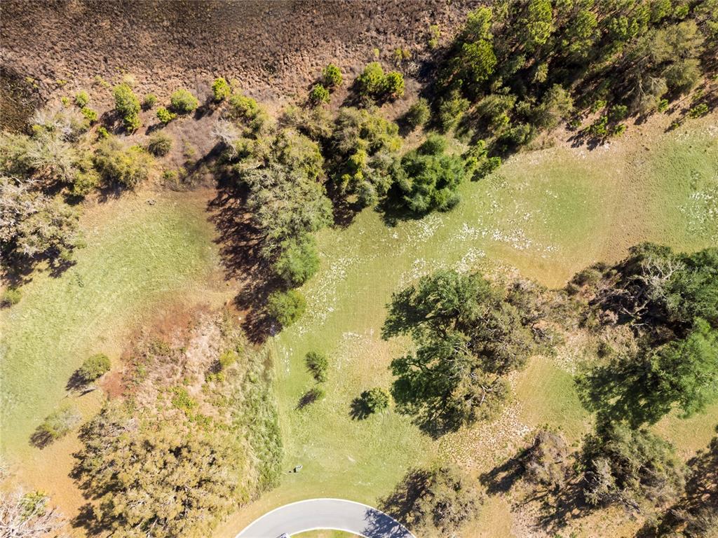 476 Long And Winding Road Howey-in-the-Hills, FL 34737 - Photo 14 of 19