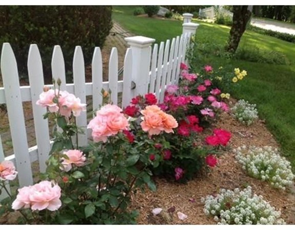 6 McGregory Road Sturbridge, MA 01566 - Photo 24 of 27 a view of a flower