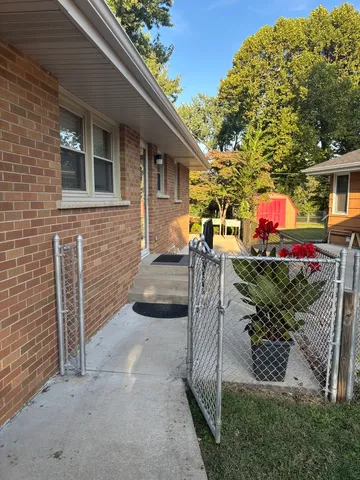 a view of a tree with flower in front of it