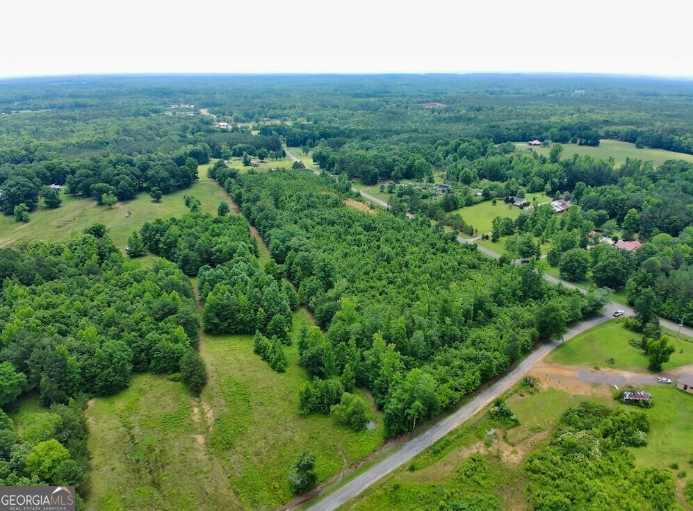 0 Prospect Road Nauvoo, AL 35578 - Photo 5 of 19