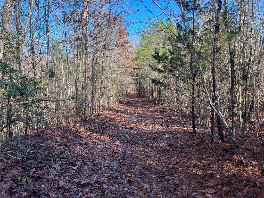903 Dunklin Bridge Road Fountain Inn, SC 29644 - Photo 12 of 32