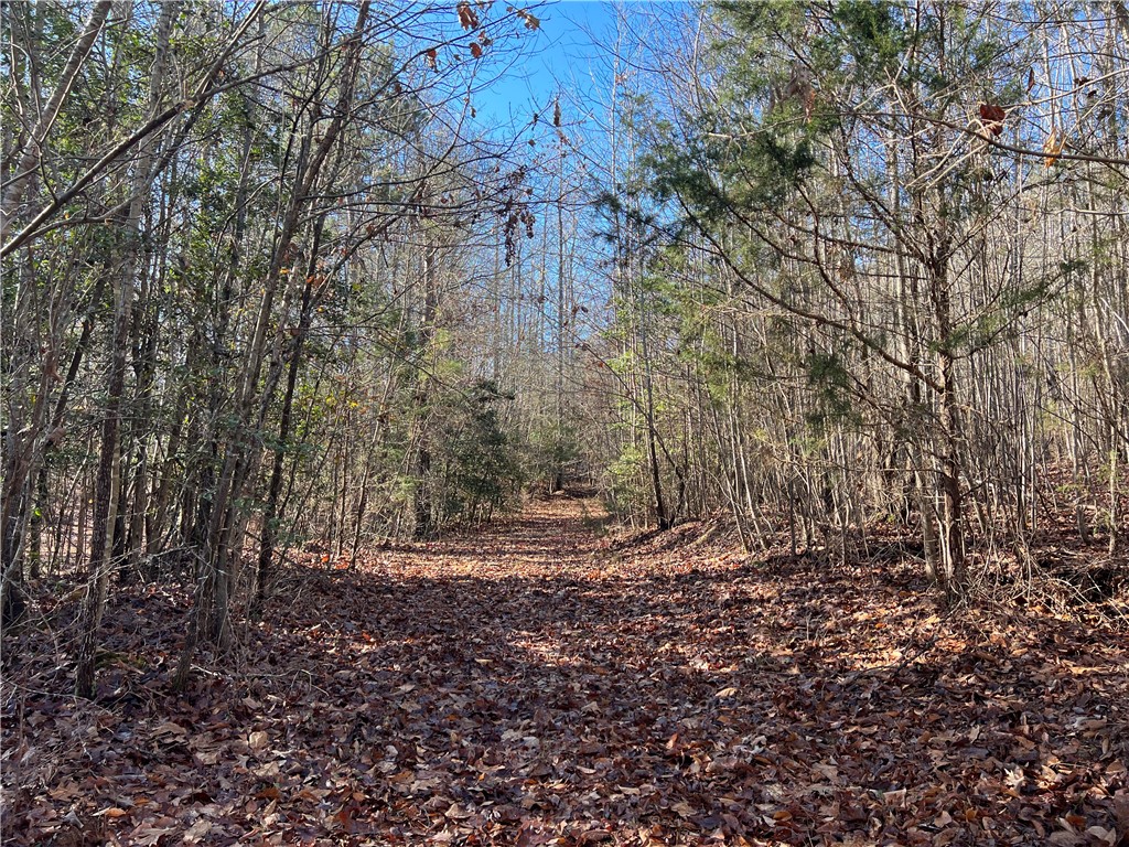 903 Dunklin Bridge Road Fountain Inn, SC 29644 - Photo 28 of 32